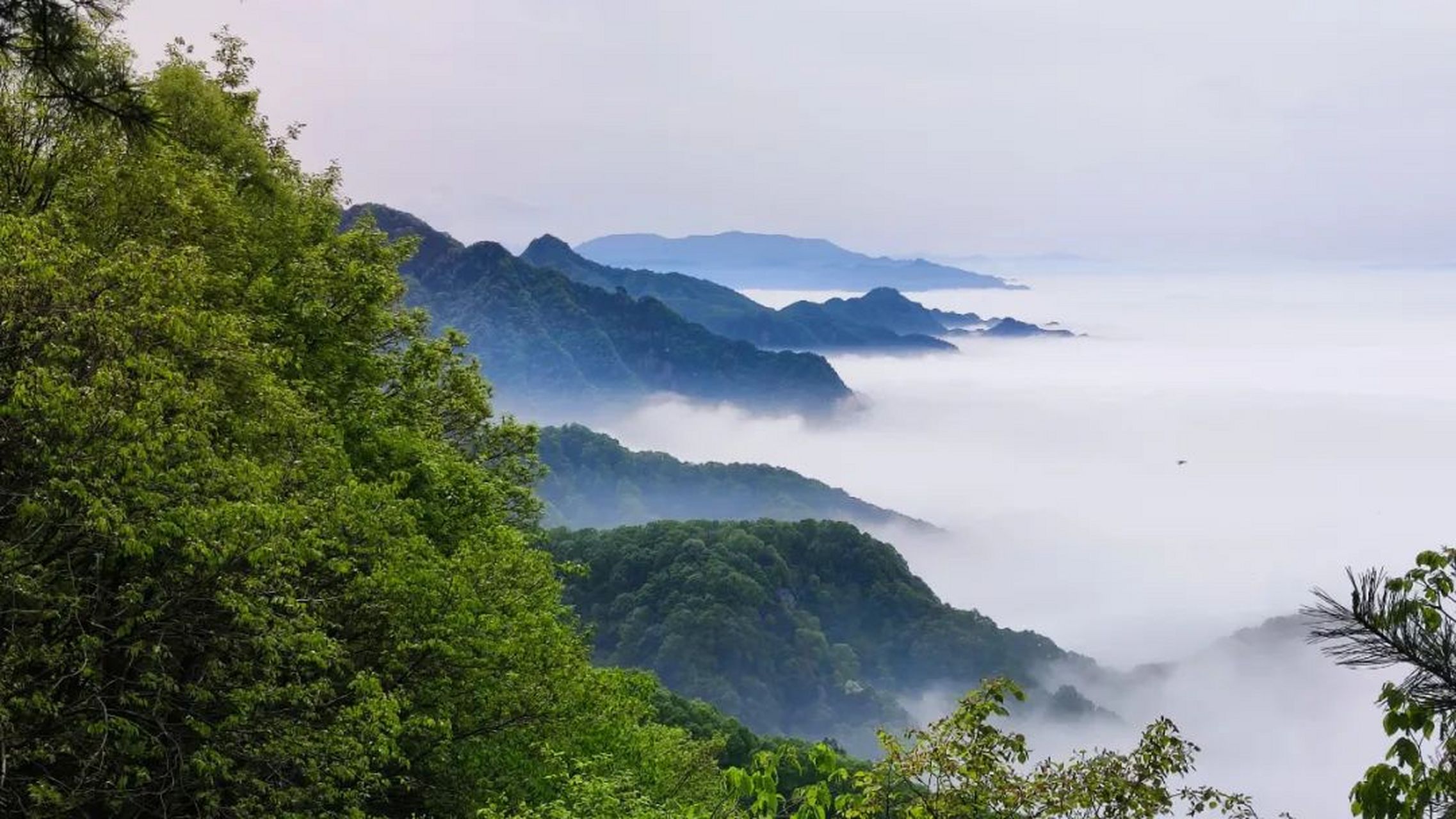 鸡峰山是宝鸡天台山国家级风景名胜区三大景区之一,也是国家3a级旅游