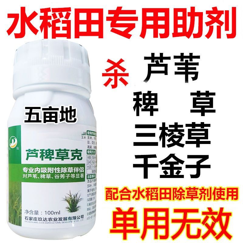 芦苇除草剂水稻地除芦苇专用助剂水稻专用助剂水稻芦苇除草剂