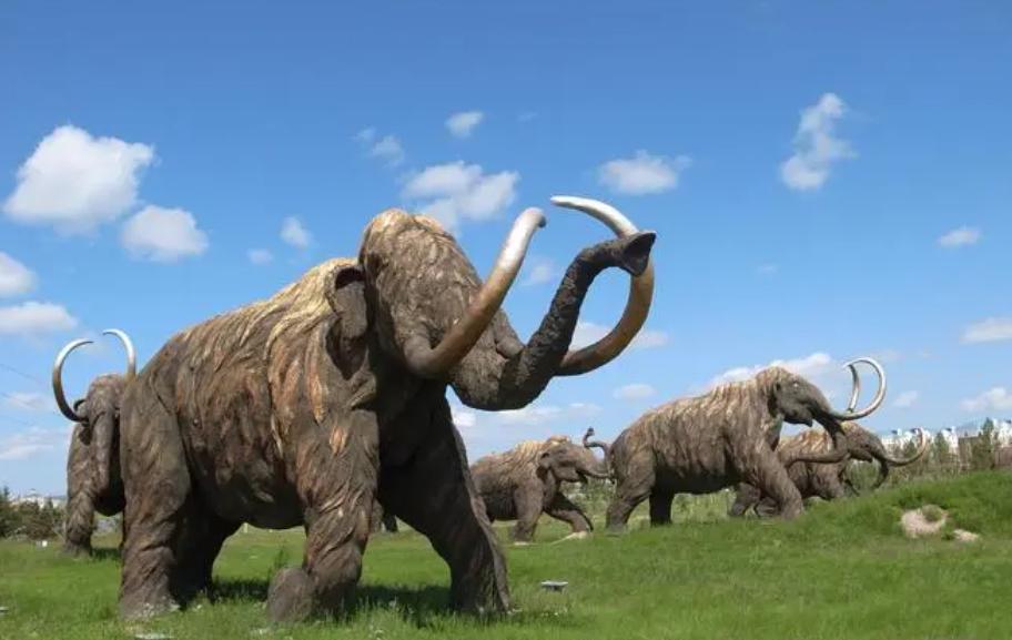 野生动物作为生态系统的一部分,在古罗马社会中扮演了重要的角色