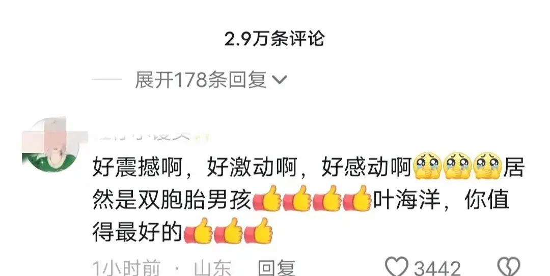 叶海洋喜讯传来!三胎迎来双胞胎男孩,两个女儿欣喜不已!