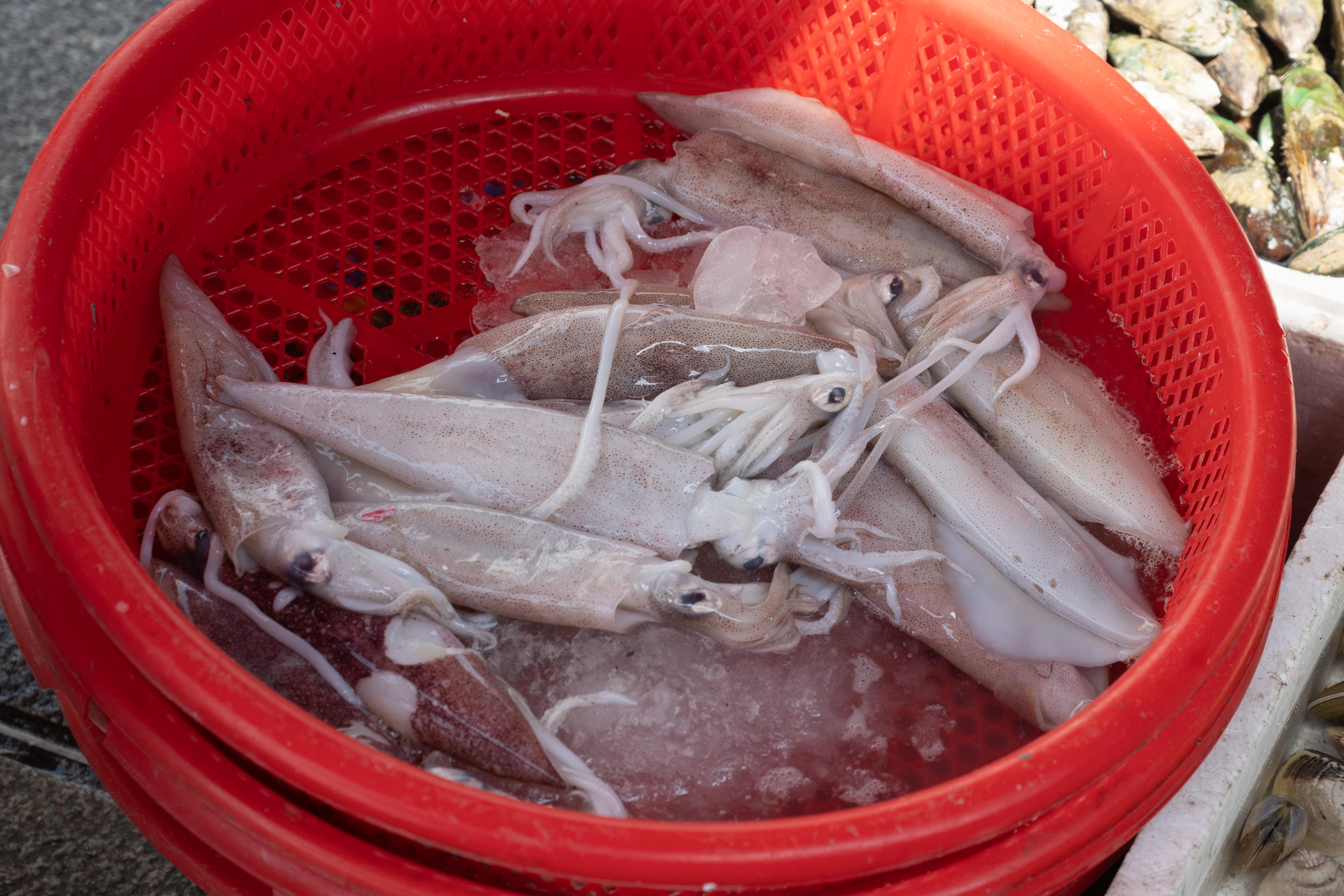夏天是吃小海鲜的好季节,这个季节的小鱿鱼满满的都是籽或黄,小章鱼