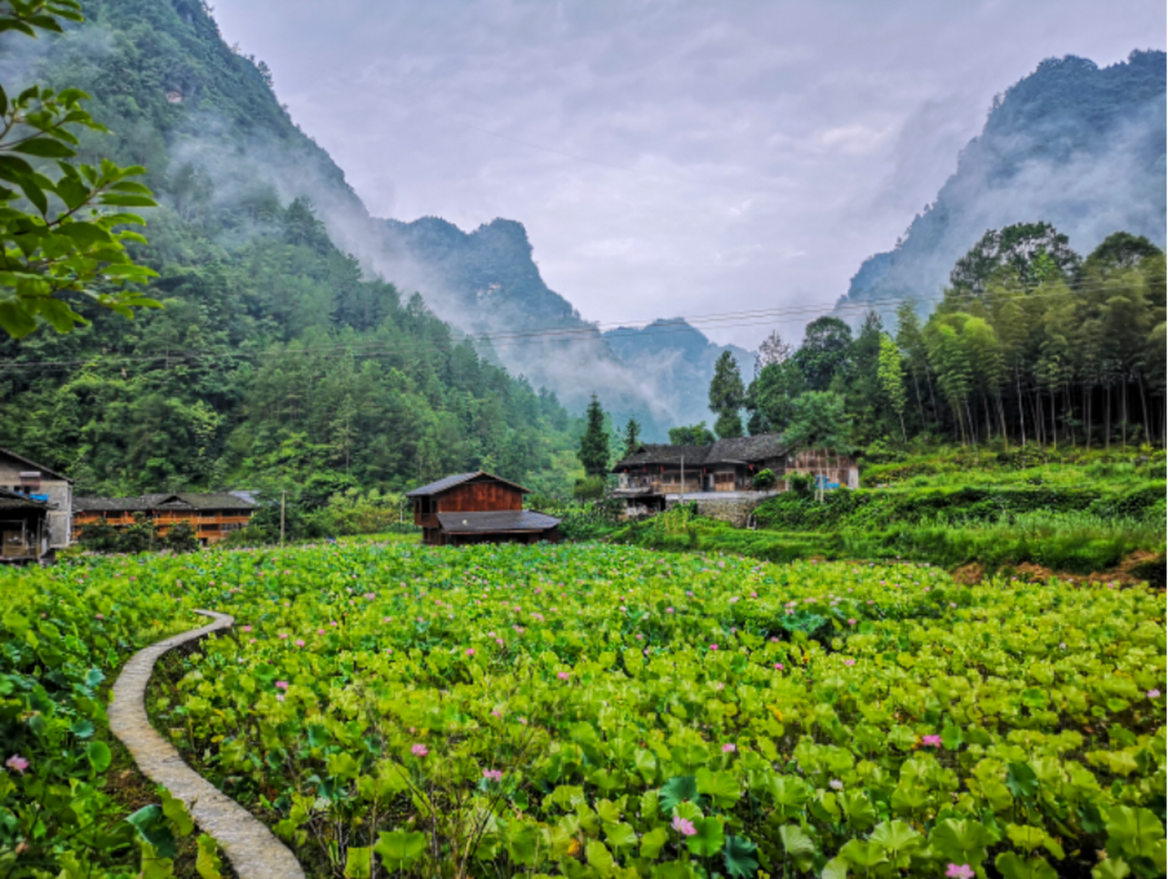 黔江土家十三寨,东邻小南海地震遗址公园,南邻八面山自然风景区,喂