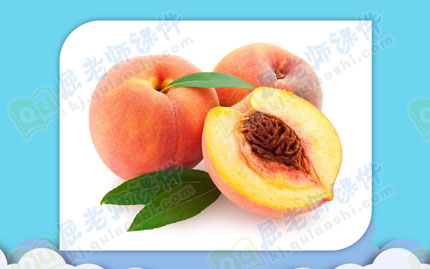 大班语言教案ppt课件:小桃仁