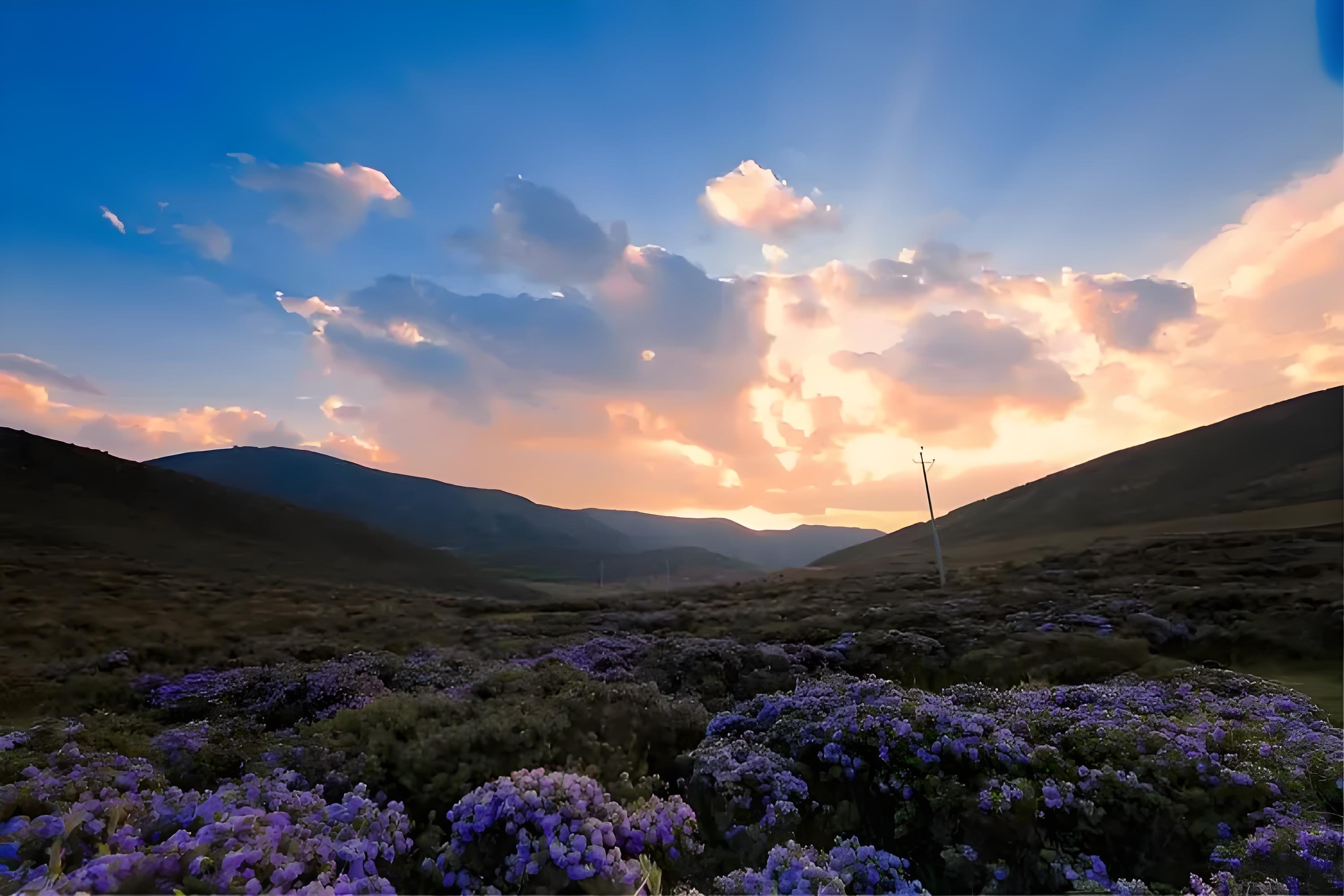 人到中年,要学会自愈