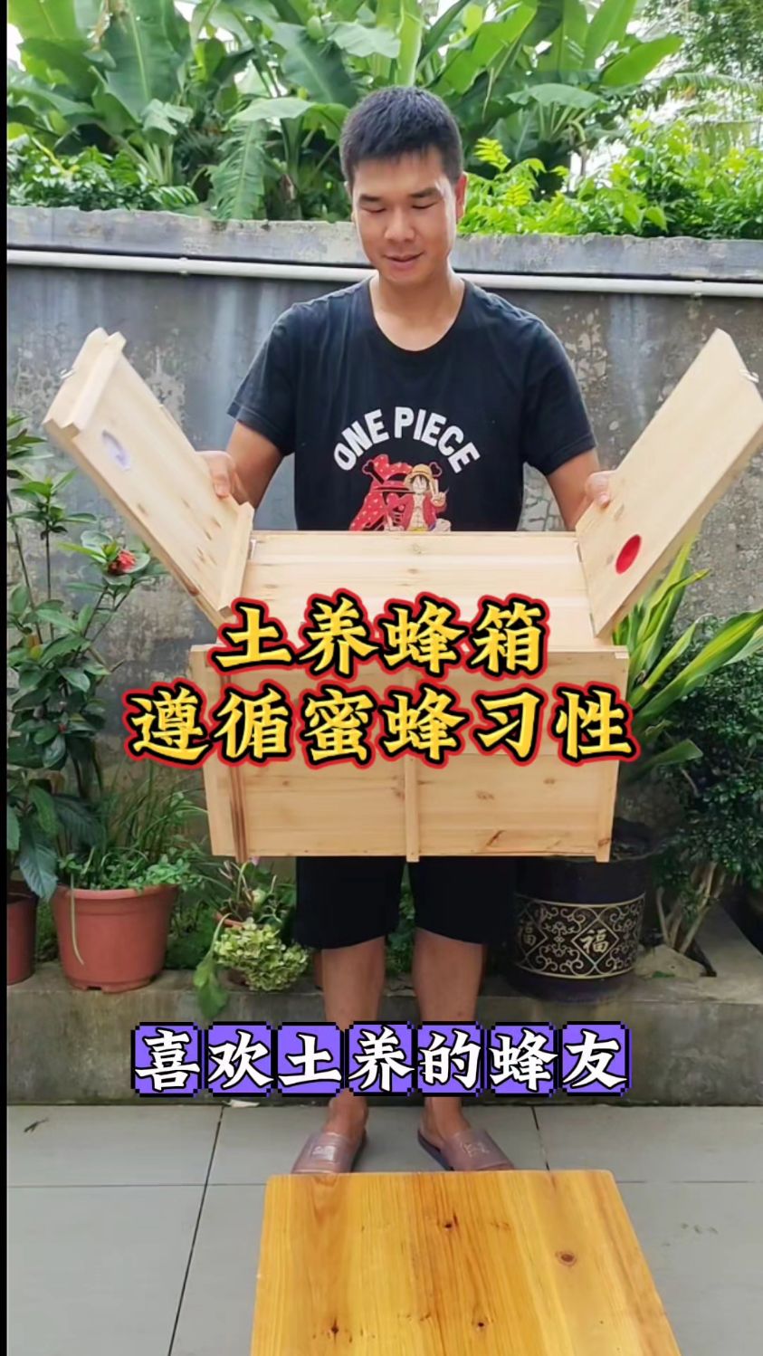 土养蜂箱遵循中蜂习性,前后双开门利于查蜂取蜜蜜蜂土养 土养蜂箱