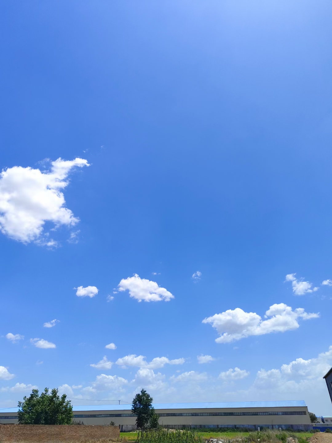 晴空万里图片 唯美