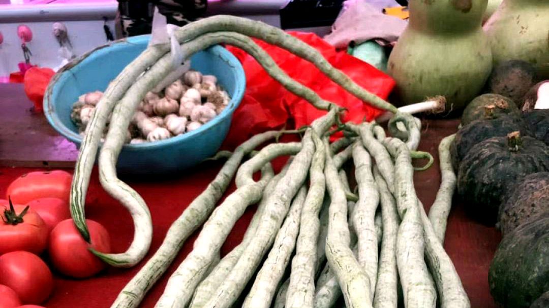 蛇瓜的营养价值