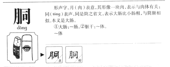 "胴体"不读tóng tǐ,"胴体"又是什么意思呢?