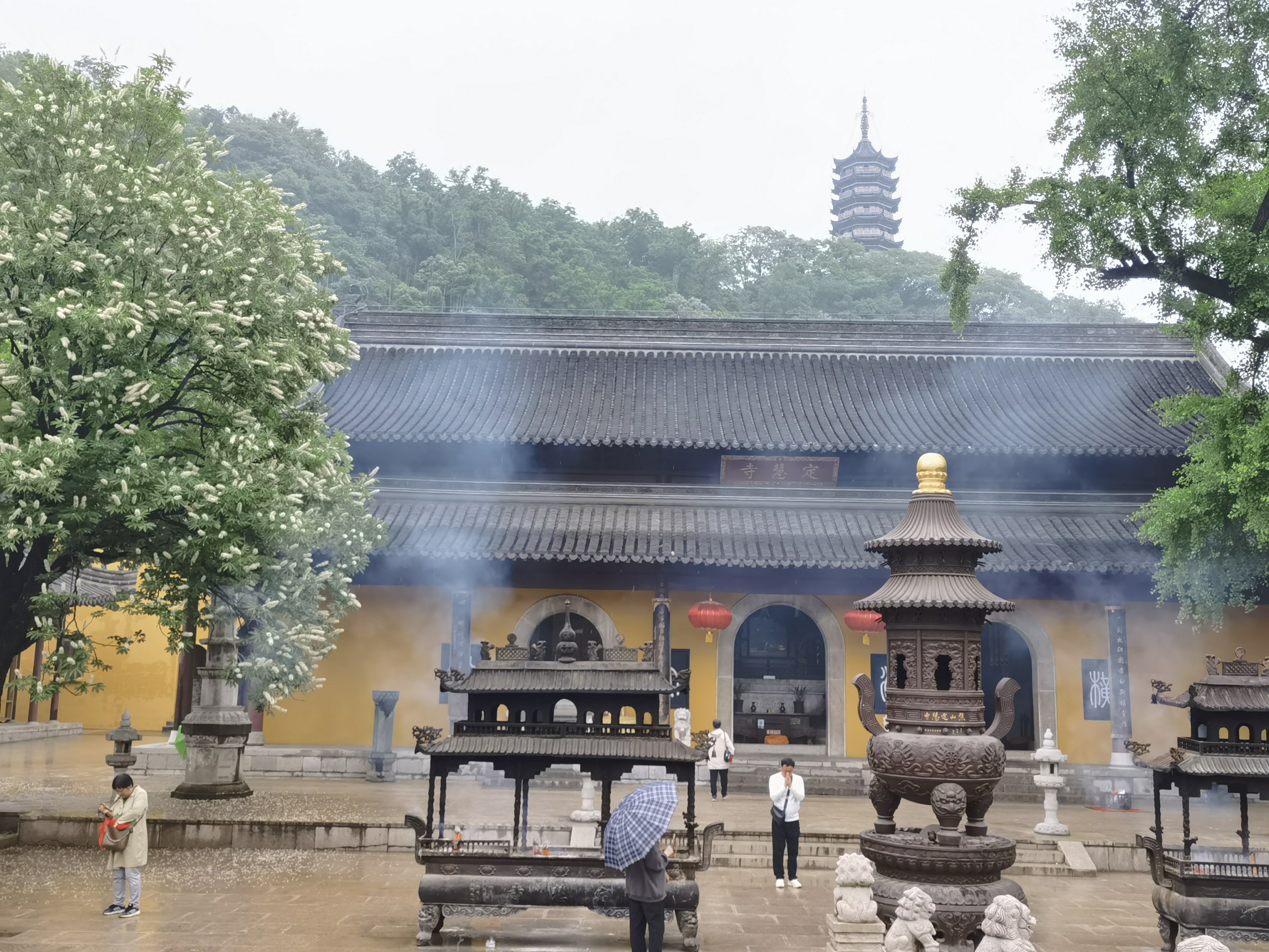 焦庙天气预报
