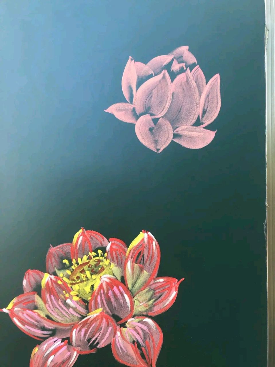 粉笔画荷花画法图片