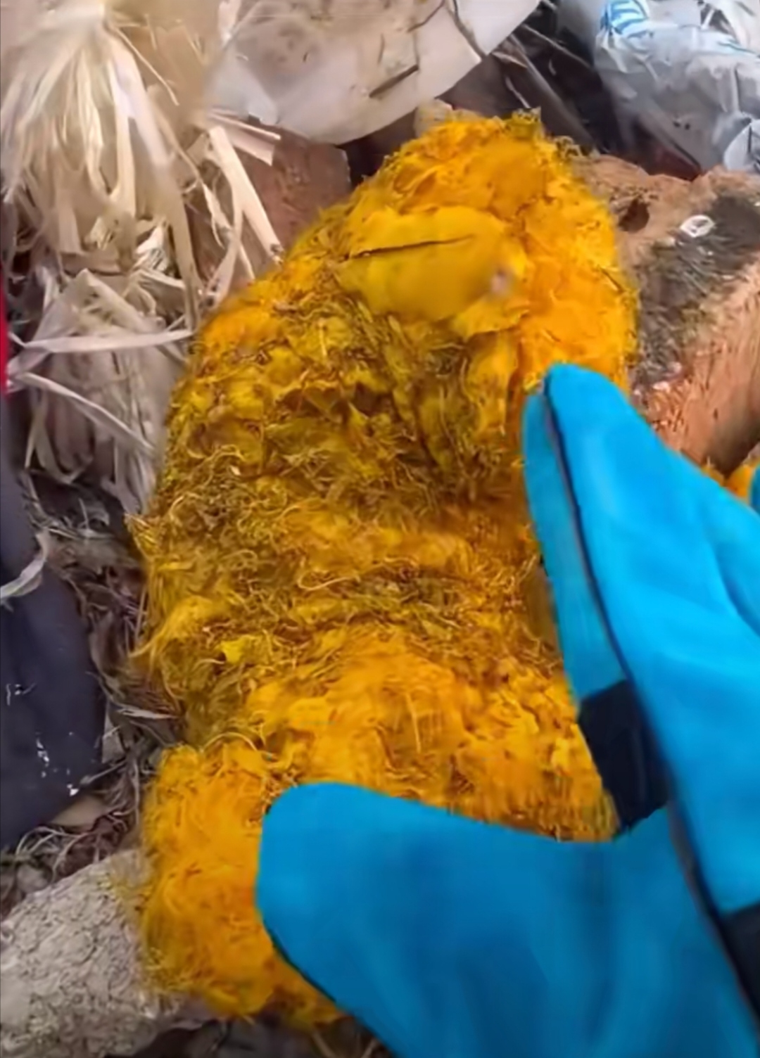 只看前两张图,能知道是什么吗?有没有感觉到心很疼呢?