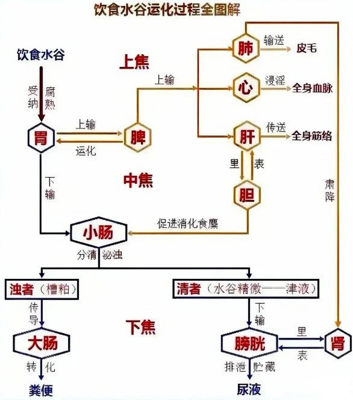 运化水谷图片