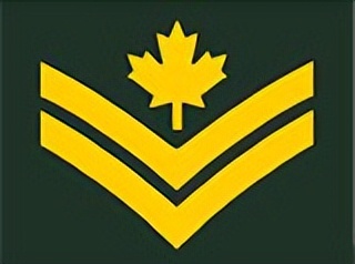 枫叶之国:加拿大陆军军衔详解