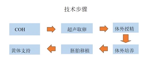 试管怎么样取卵_试管怎么取卵视频  第2张