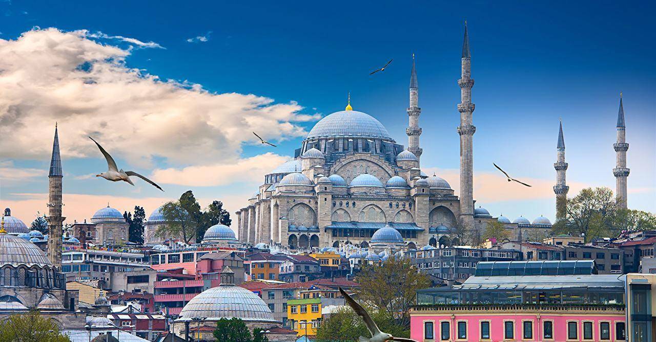 0成本拿海外身份!深扒土耳其买房移民