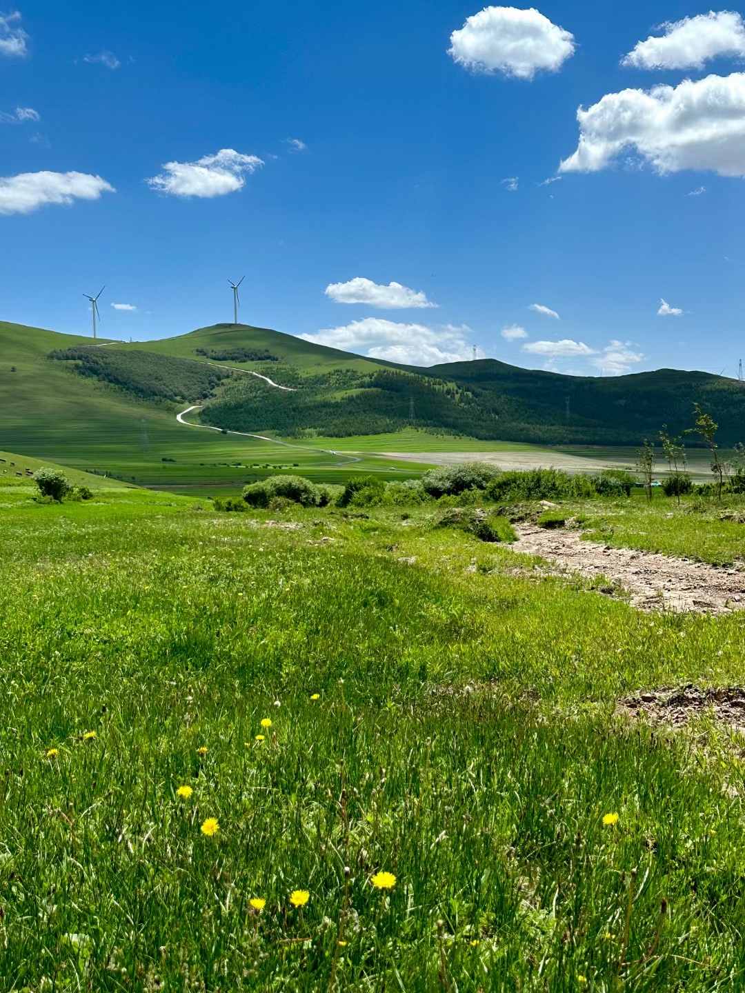 丰宁坝上草原三日游