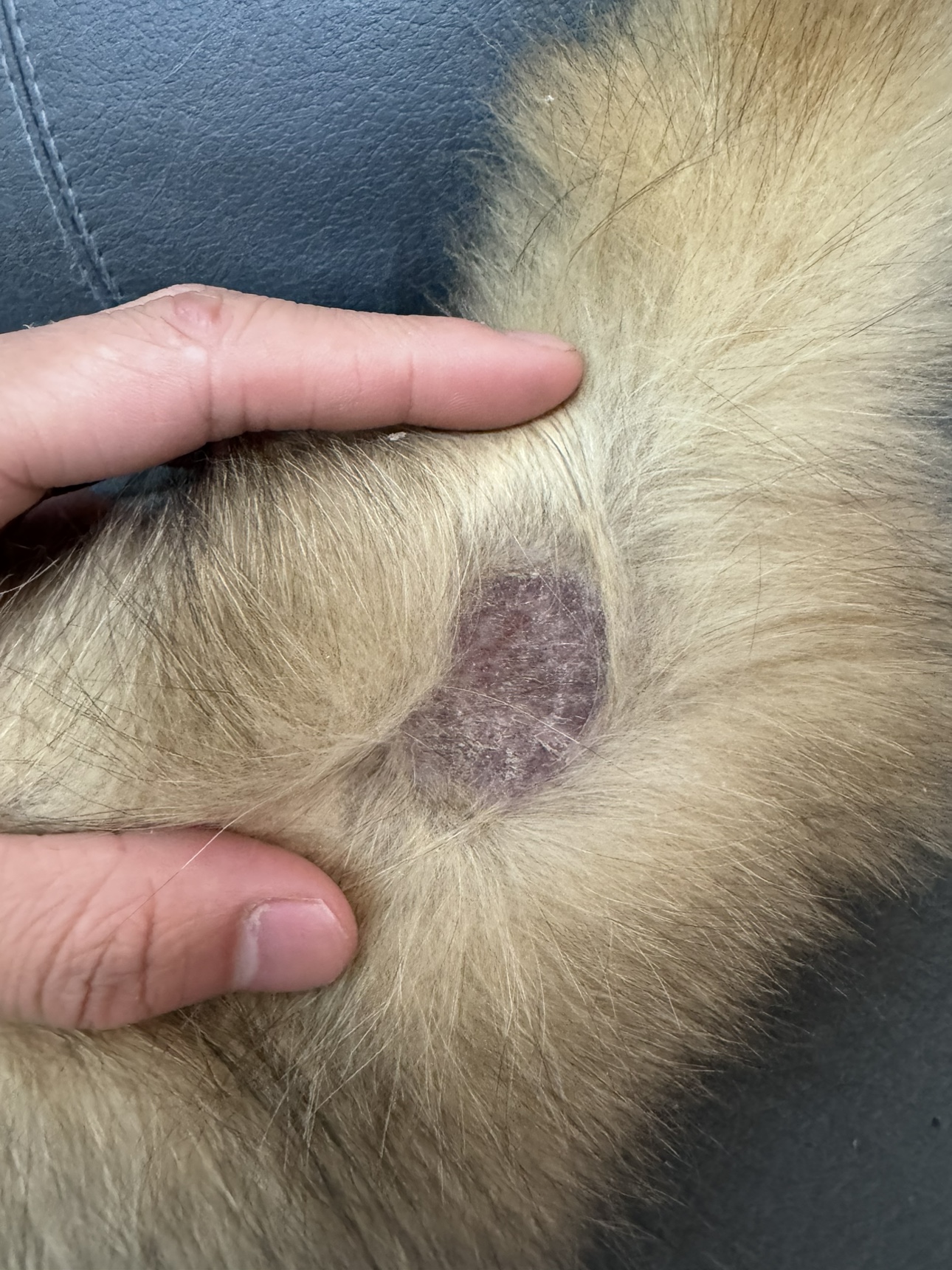 这种状况是什么病?看官老爷们有懂的没?#动态连更挑战