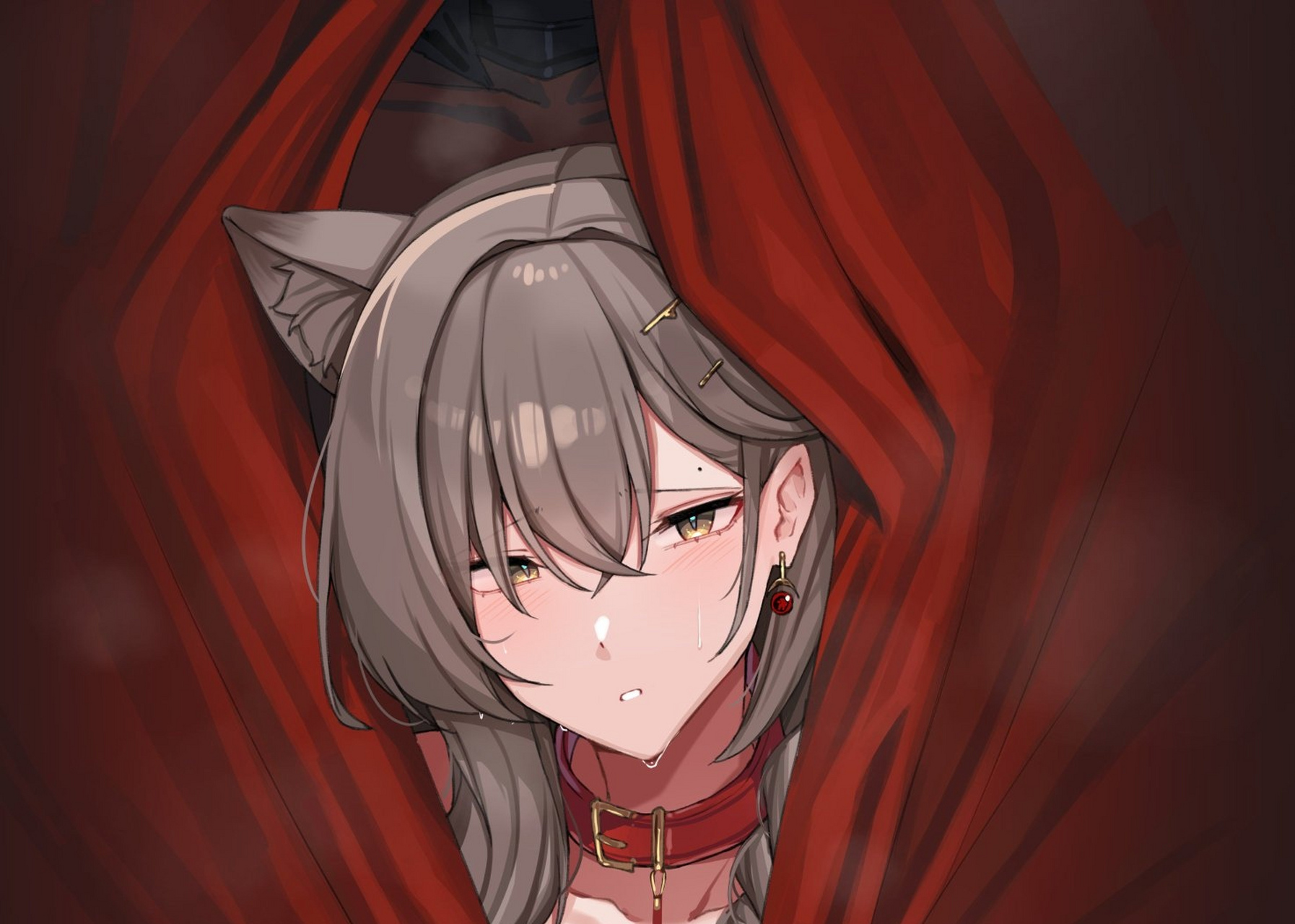 二次元# 兽娘真的太棒了![二哈] twi:kanta