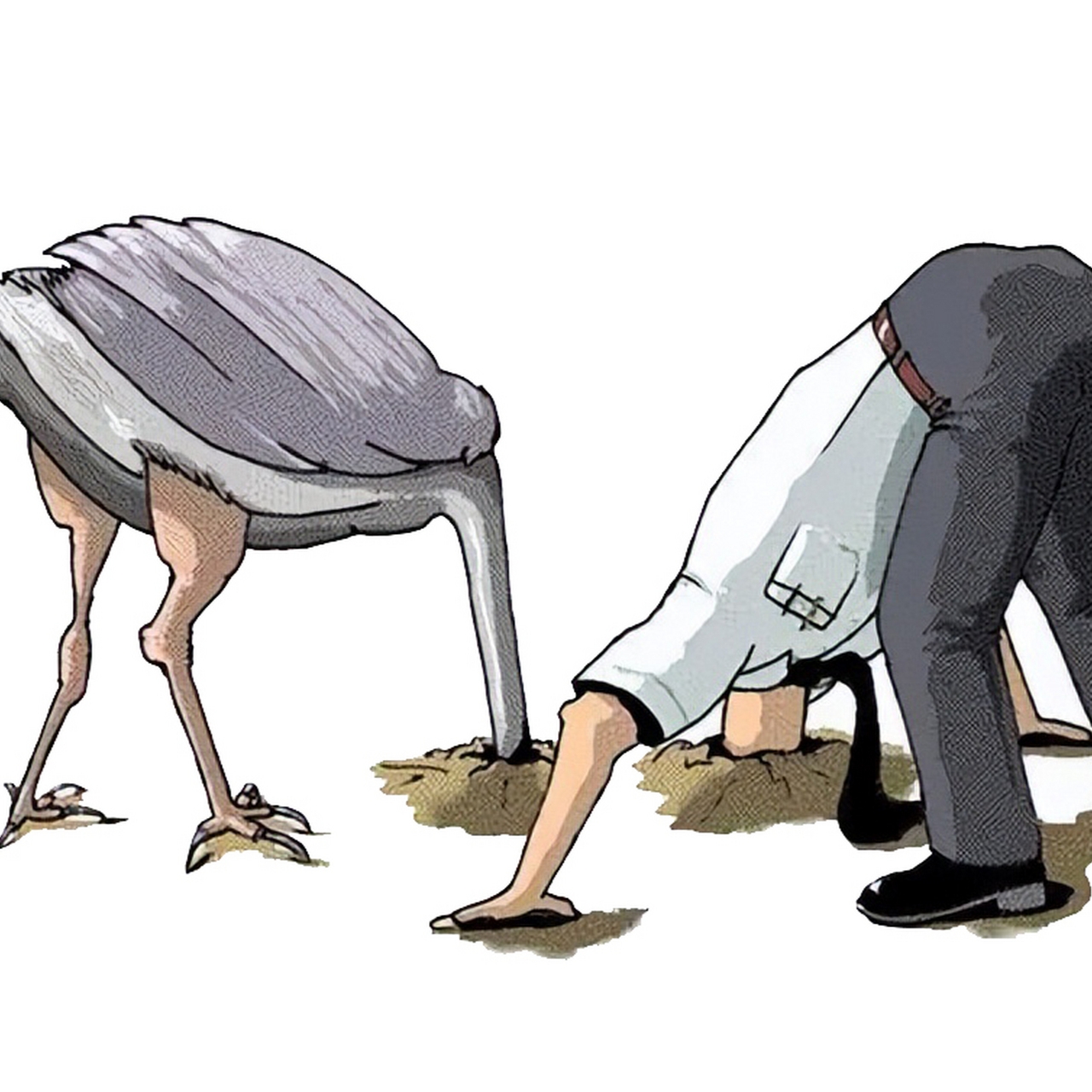 驼鸟遇到危险,就会把头埋进沙子里自欺欺人;同样,有