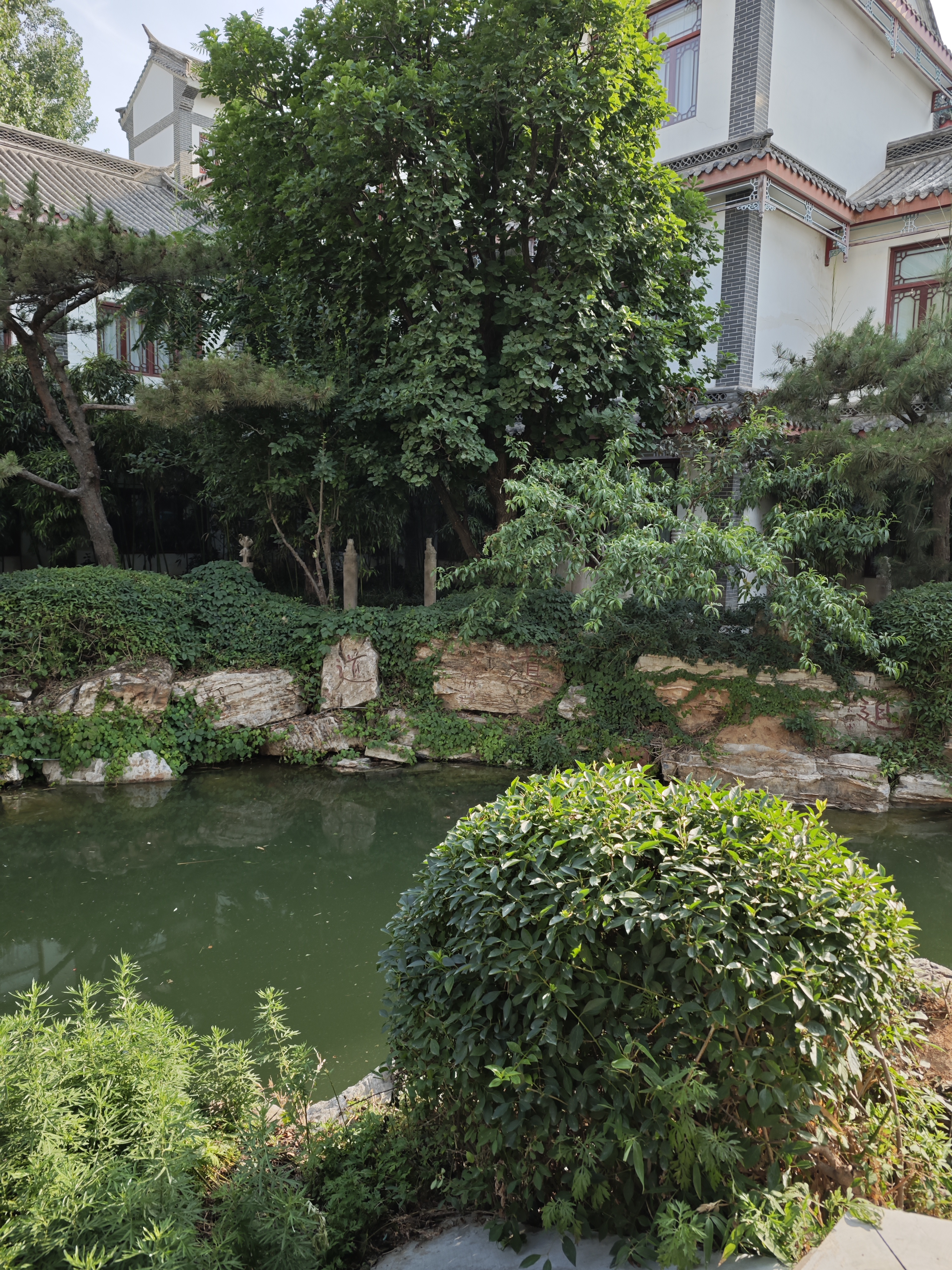 人生,如同一场跌宕起伏的旅程,充满了未知与挑战