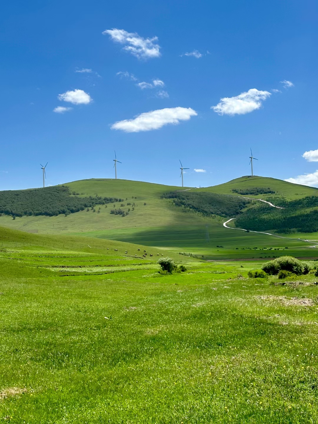 北京到坝上草原二日游