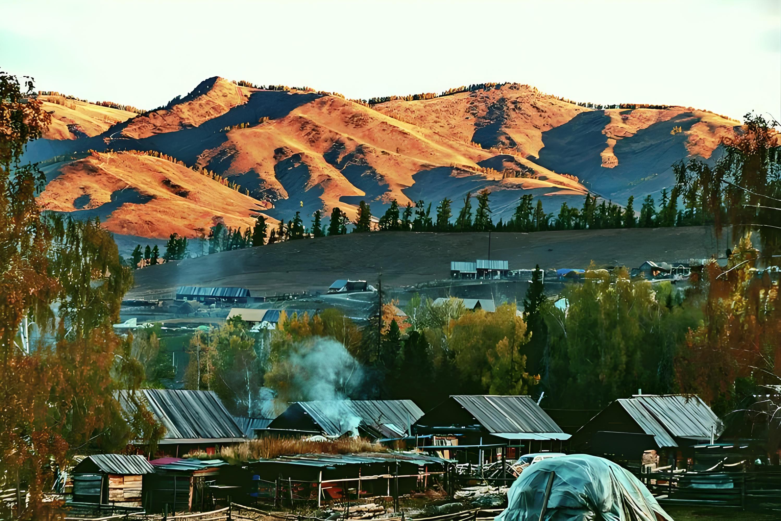 新疆白哈巴村深度体验,浓郁民族风情之旅,与自然和谐共生的村落
