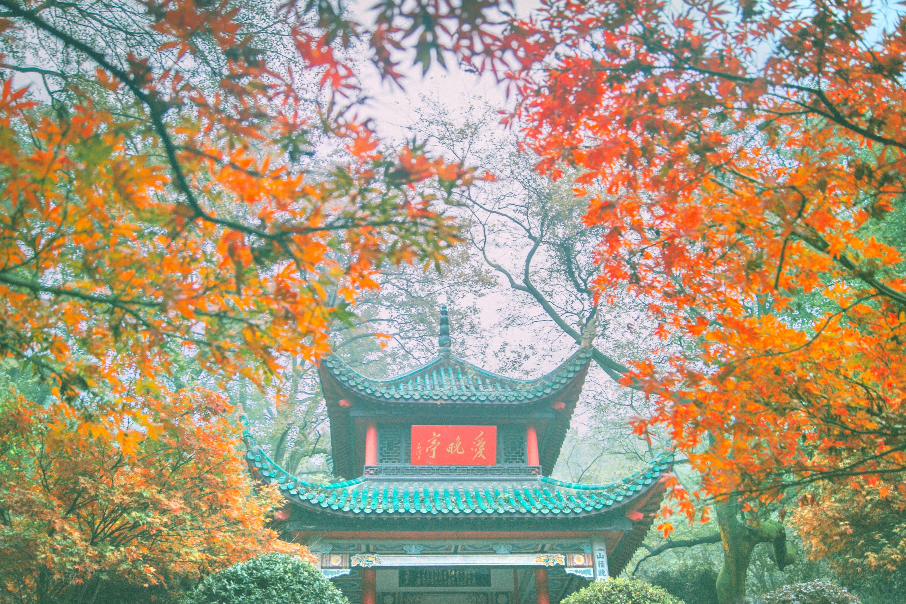 我去了南京,没想到南京有这么多著名景点,特别是中山陵