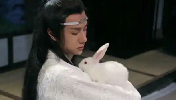 陈情令:再上乱葬岗,离开云深之前,蓝湛为何对着兔子笑呢?