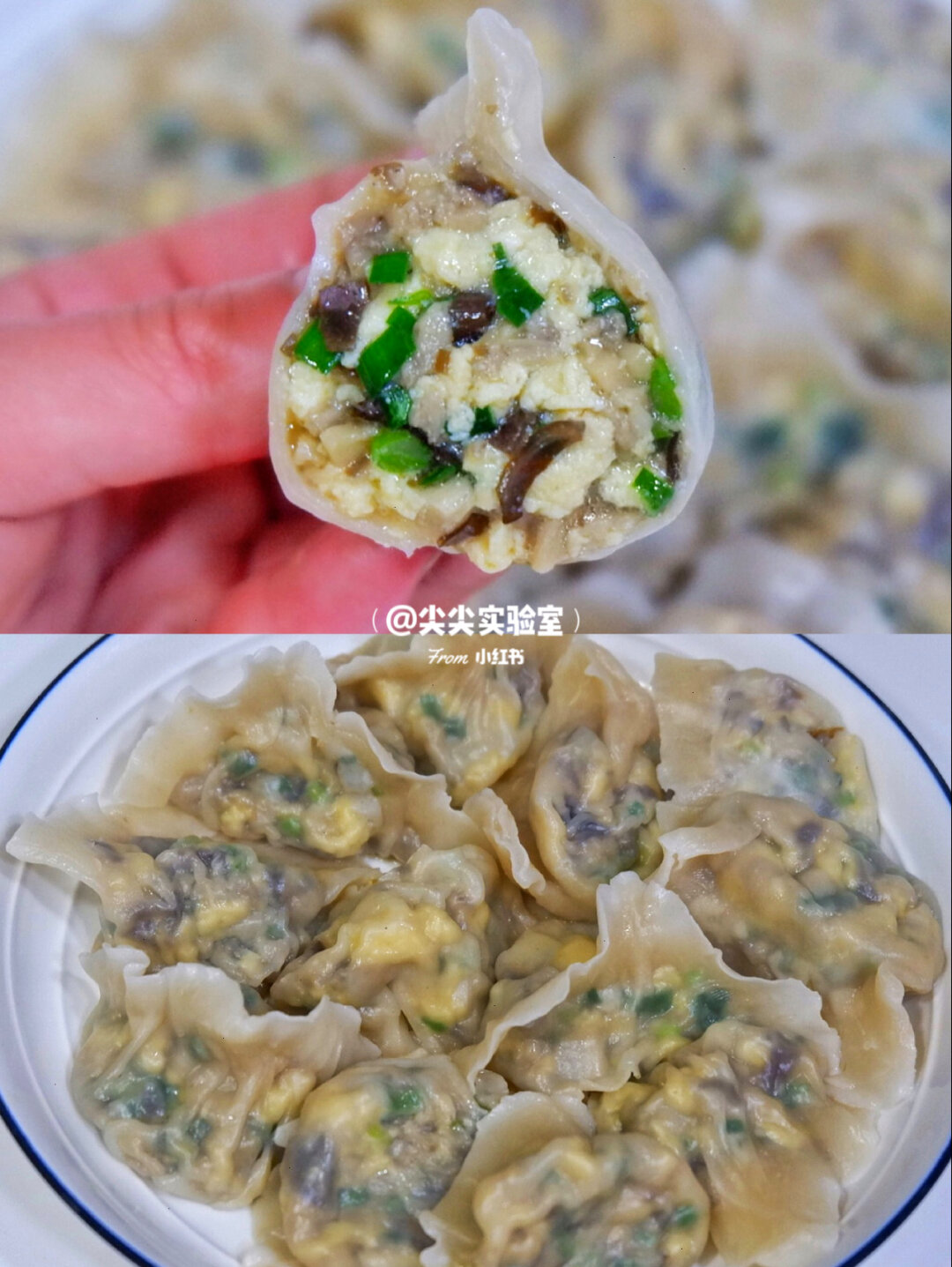 巨鲜会爆汁的素馅饺子我发誓你会吃上瘾 蘑菇做饺子馅