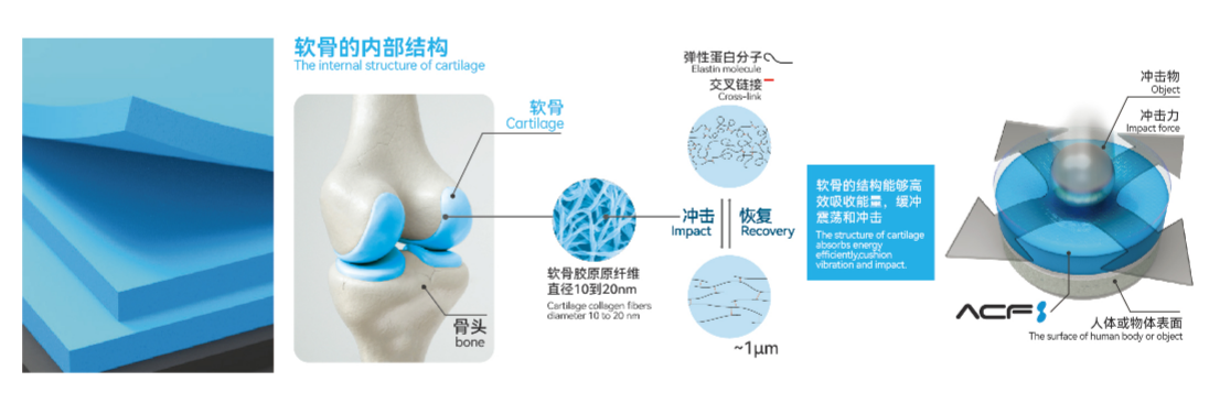 ACF 的双重身份研究报告：人工软骨材料与异方性导电胶膜之辨析