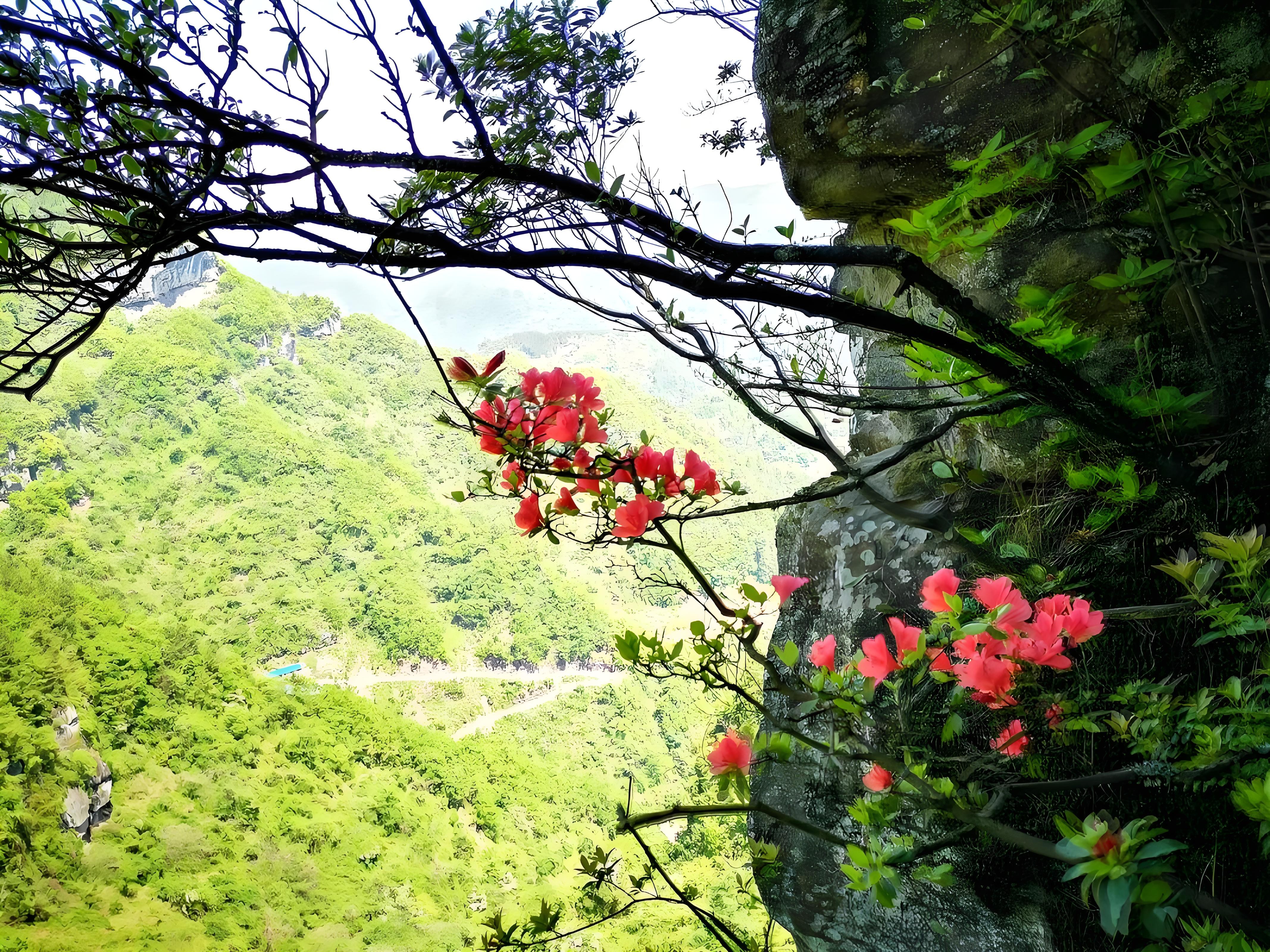 利川苏马荡景区图片图片