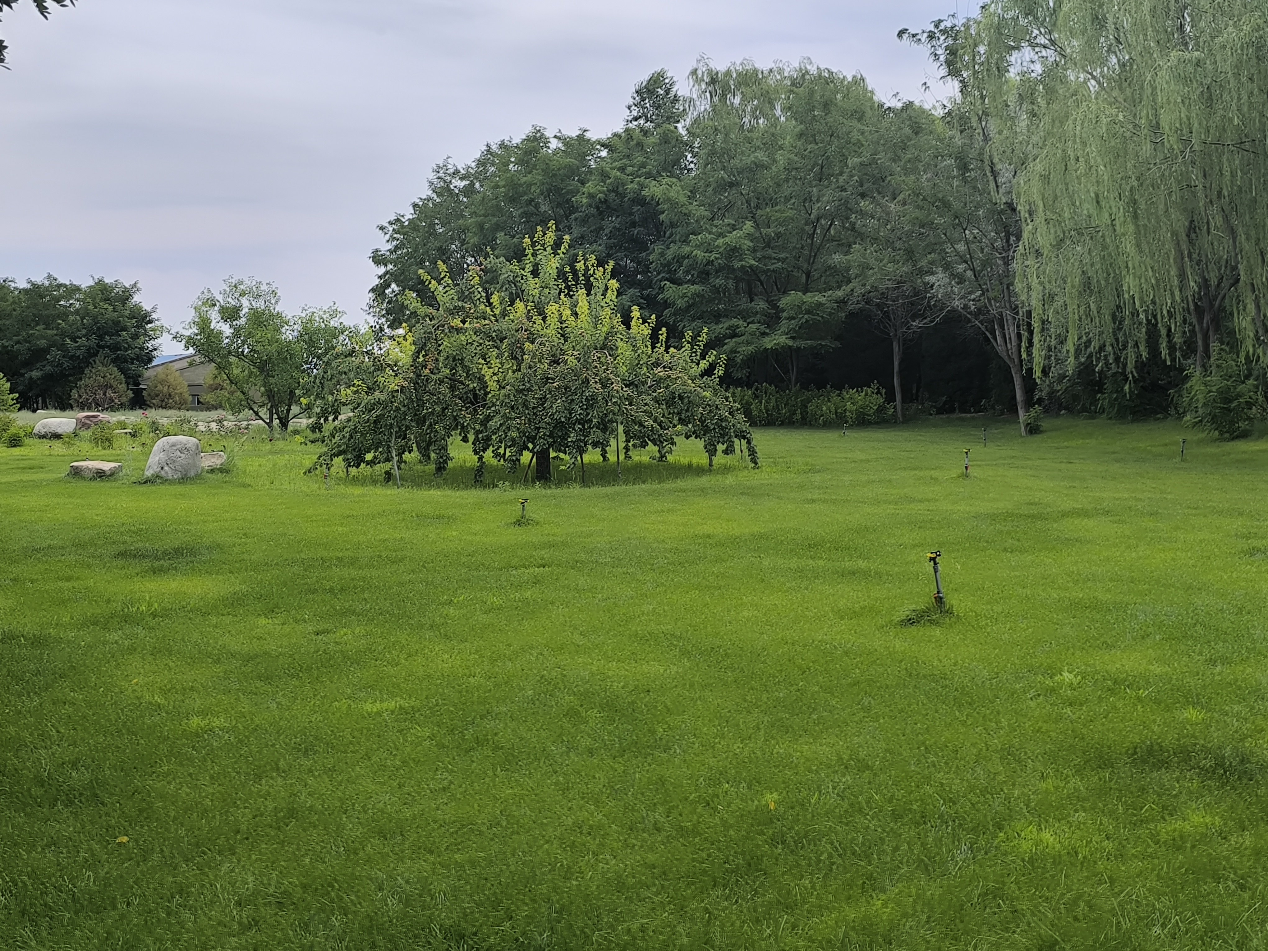 宁夏贺兰山下发现用石头垒的庄园,老物件也是一段回忆