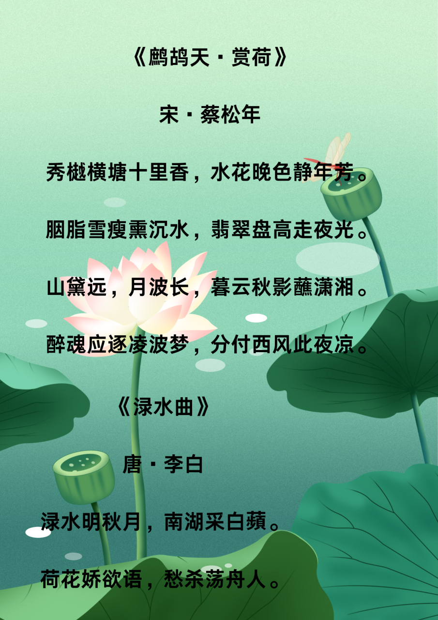 荷花的现代诗原创图片