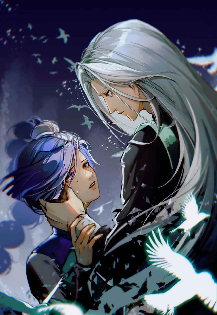 梅花十三和青凤#二次元