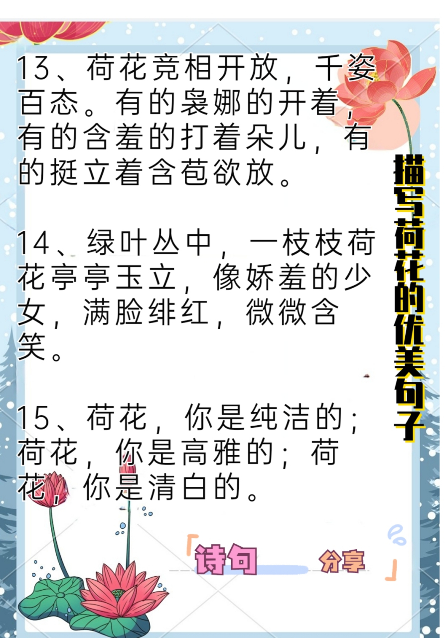 9696描写荷花的优美句子  7171上完课,下楼时听到一个女生叫