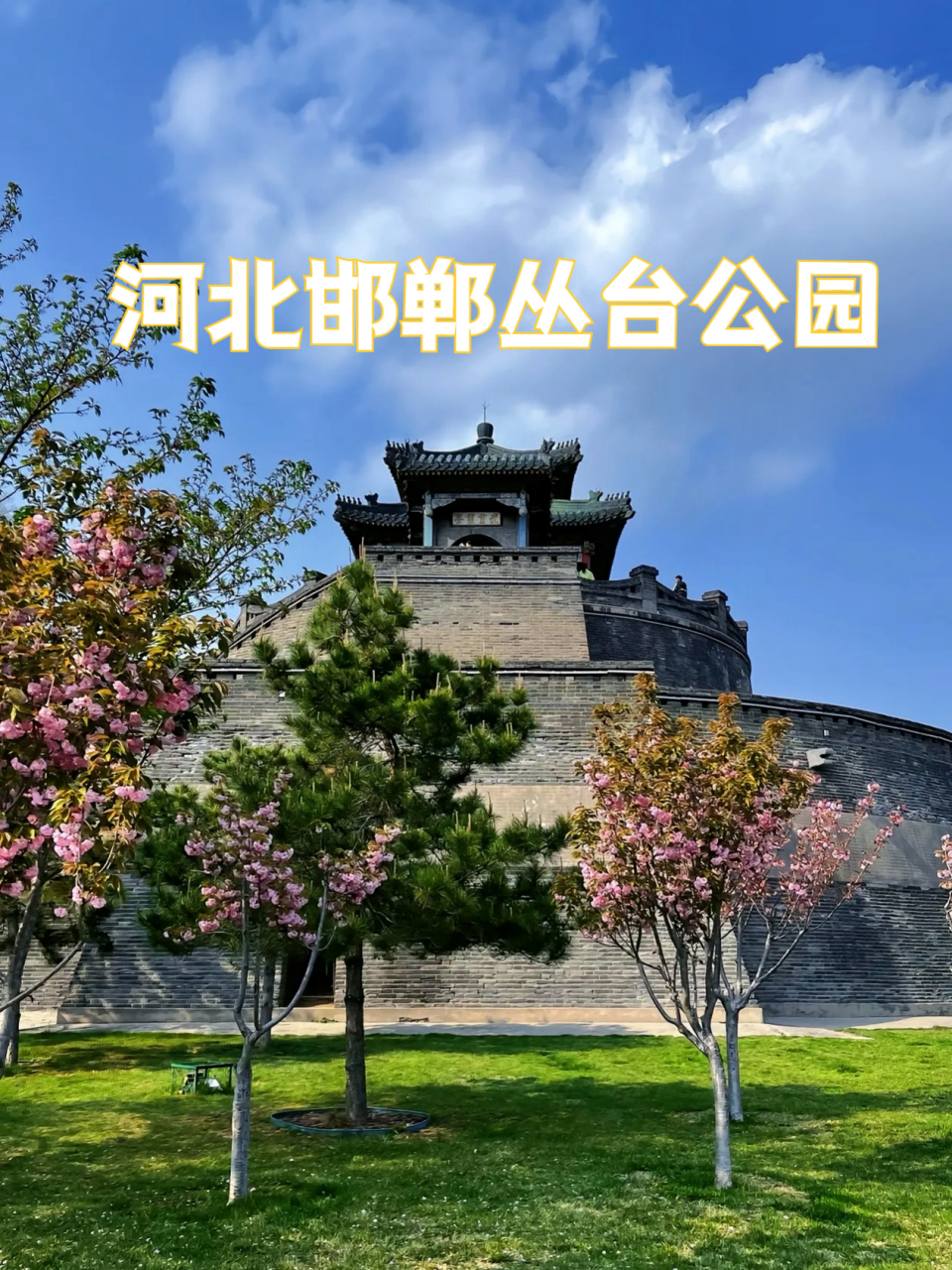 从台公园图片