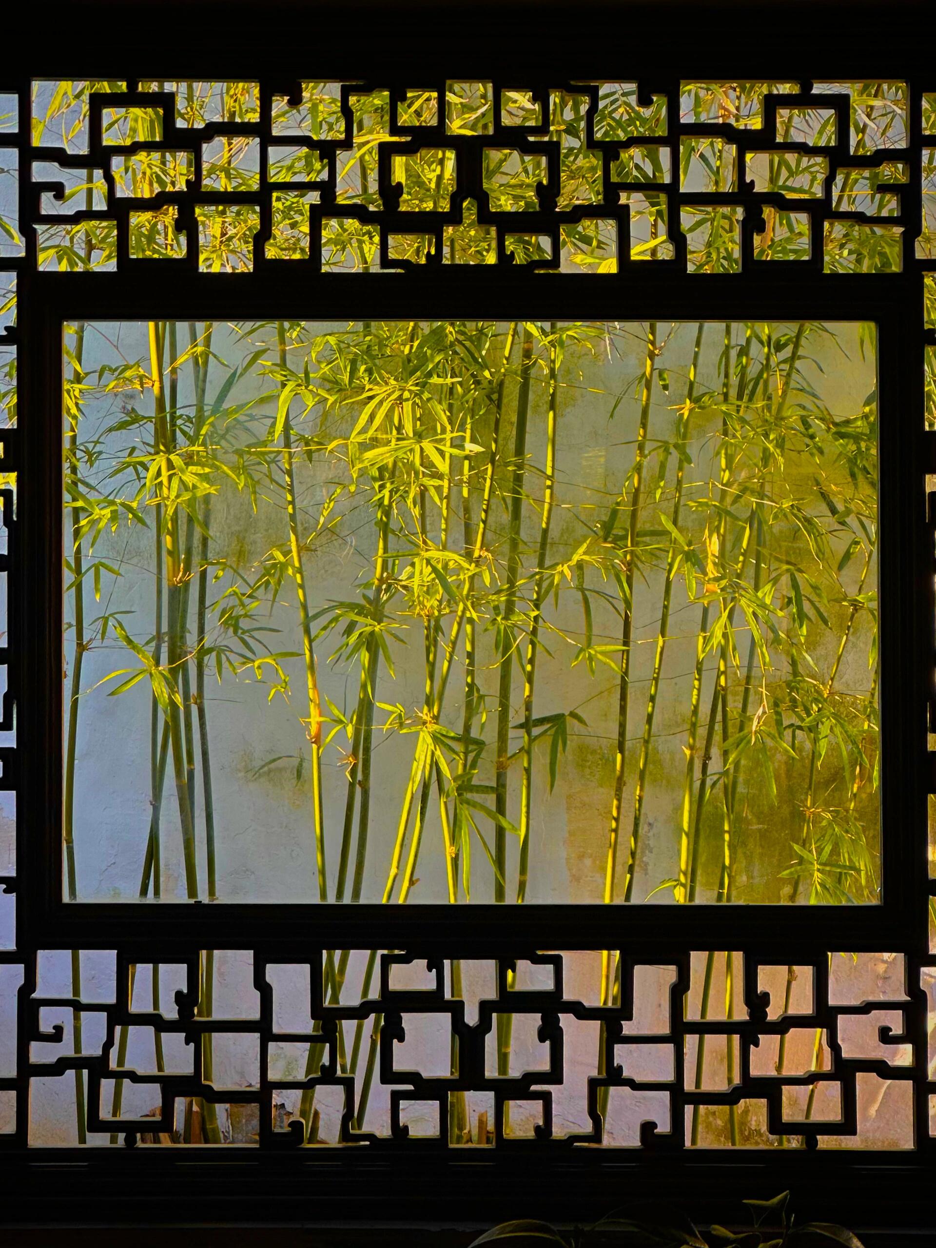 我有一院,竹做篱笆,诗意为墙