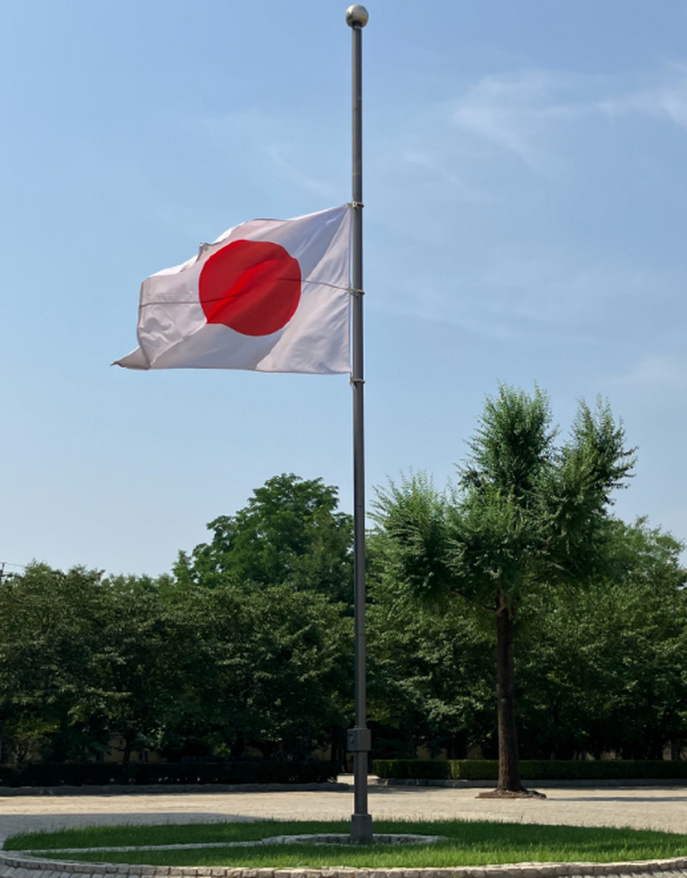 网友热评:这就是中国人,勇敢,善良,无私,向这位平凡而伟大的中国判栽