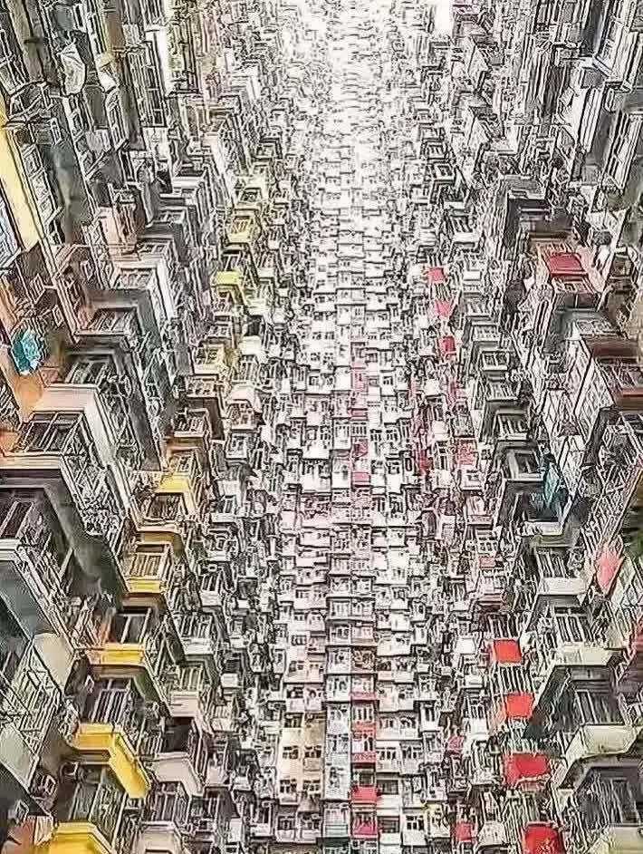 香港鸽子房图片