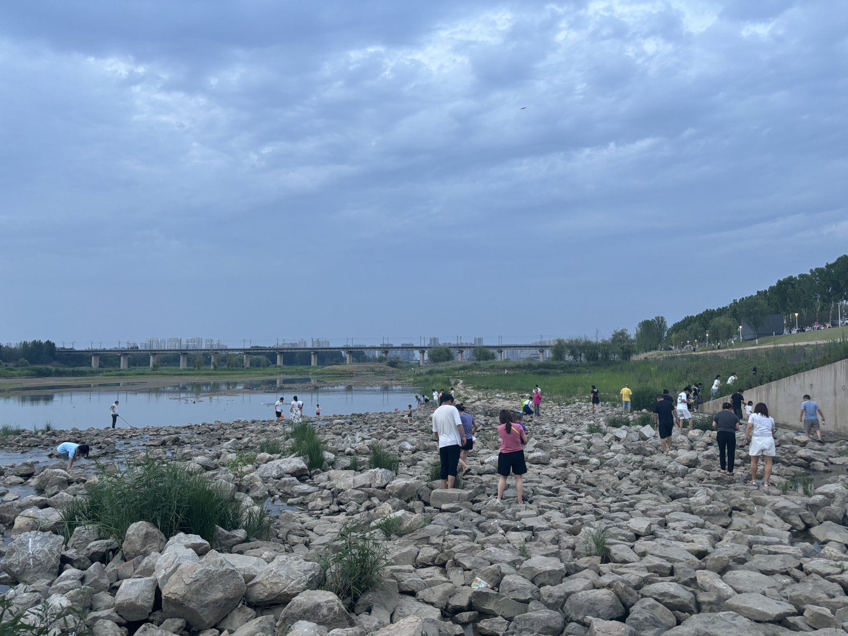 动态连更挑战# 傍晚的灞河,这么多人都在河道里找什么呢?