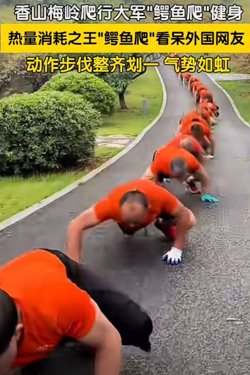热量消耗之王"鳄鱼爬"视频看呆外国网友.  #热点引擎计划