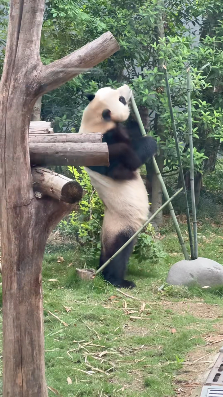 抬头,挺胸,收腹!