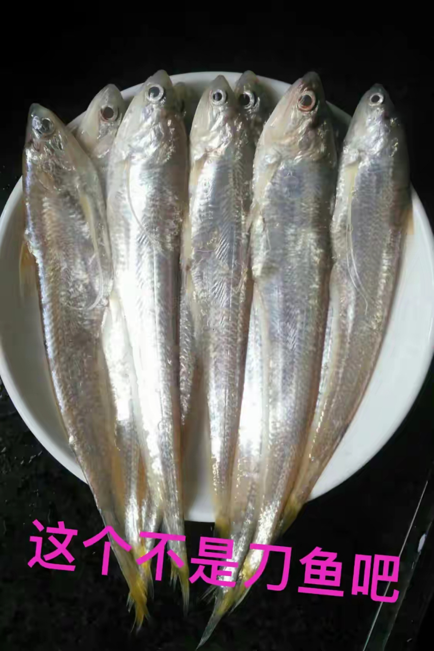 今天桥头去买菜,买了一盘形状与窜条鱼相似的鱼,还