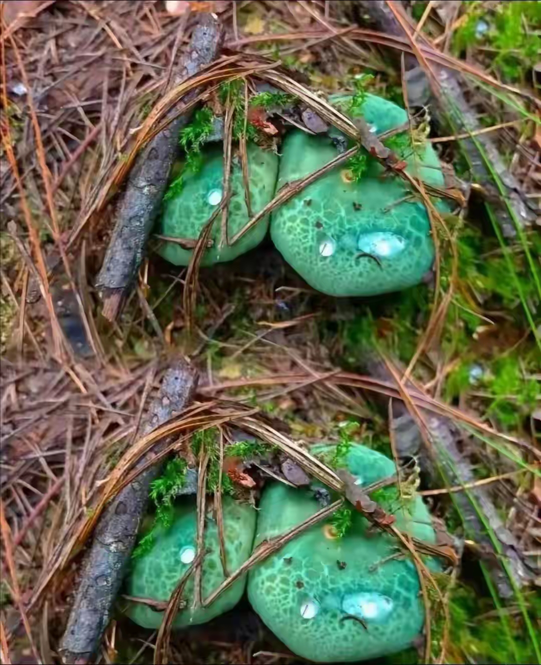 祝愿你我能一路披荆斩棘,终将"剩者为