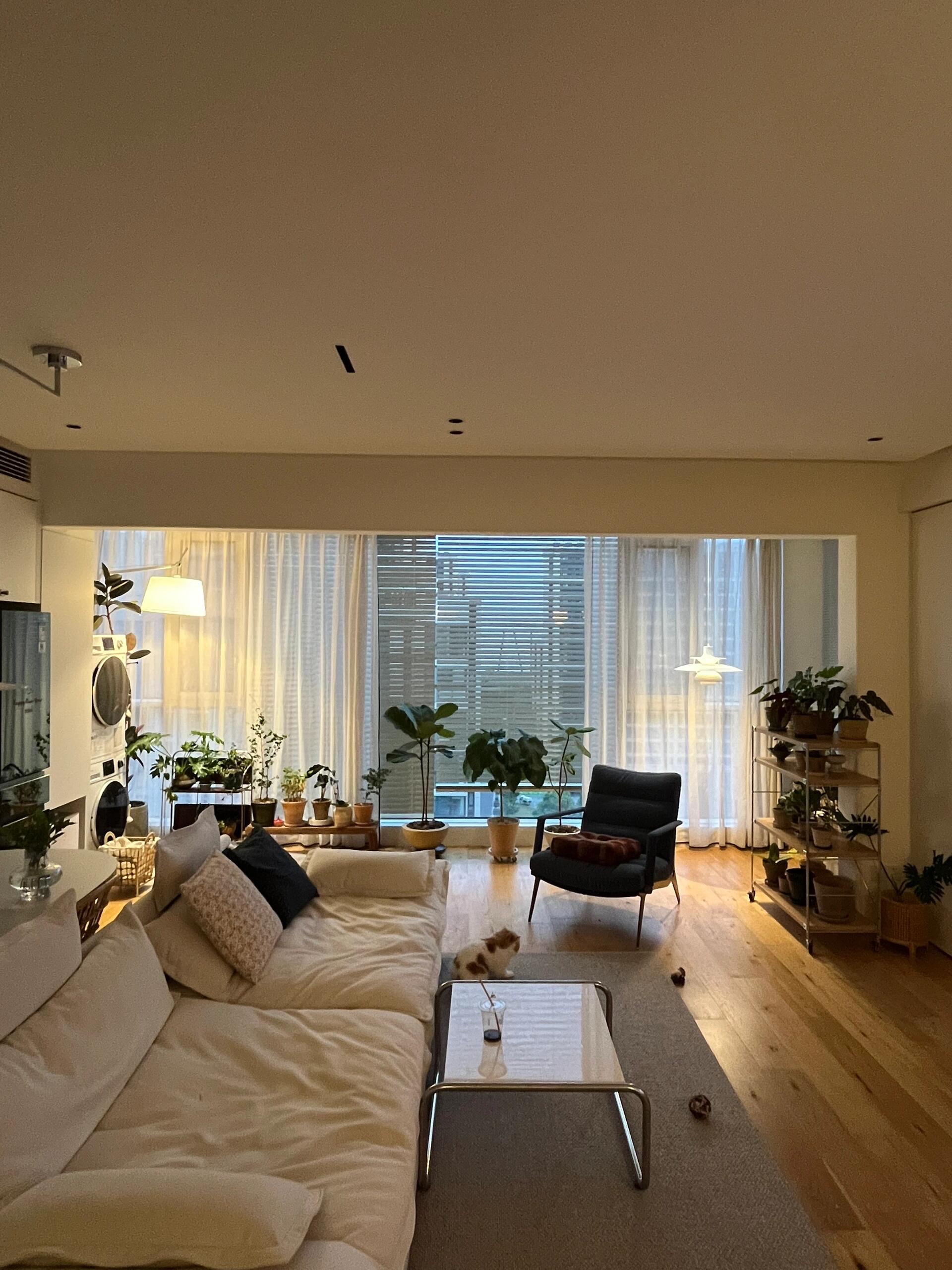 下雨天呆在这样的家里就是快活小神仙啊