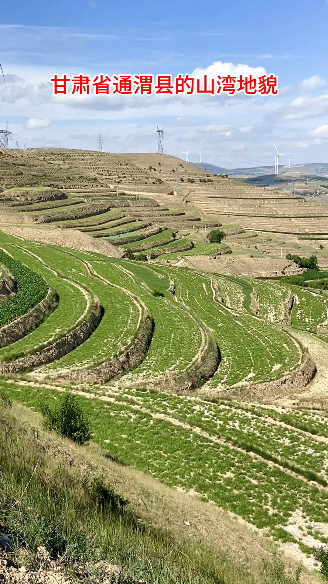 甘肃省通渭县的山湾貌探究