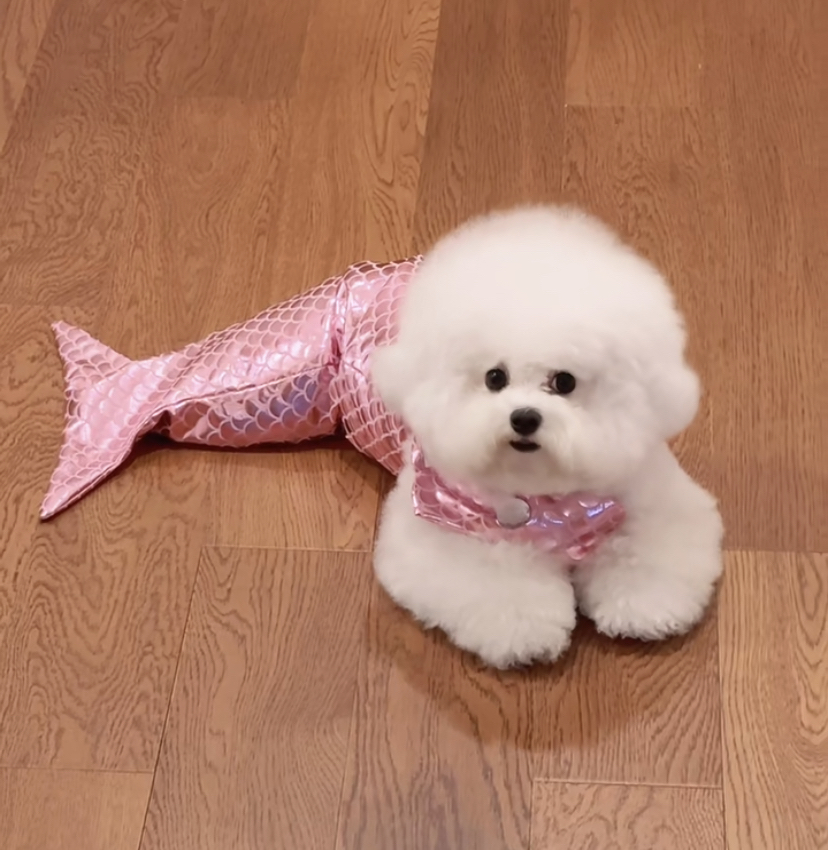 私企中年妇女的生活寡淡无味: