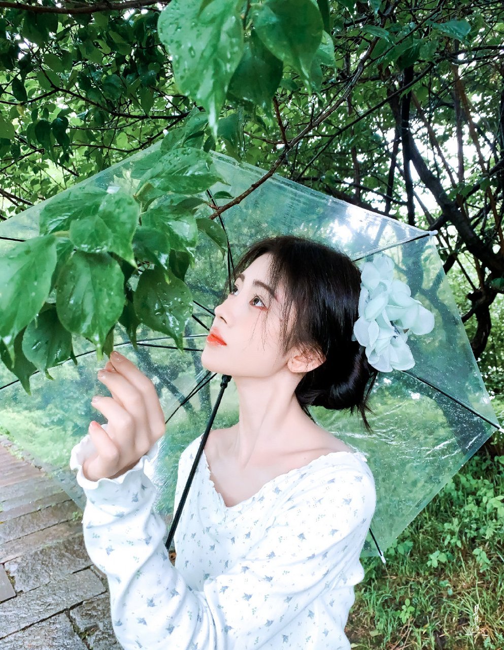 鞠婧祎林中撑伞