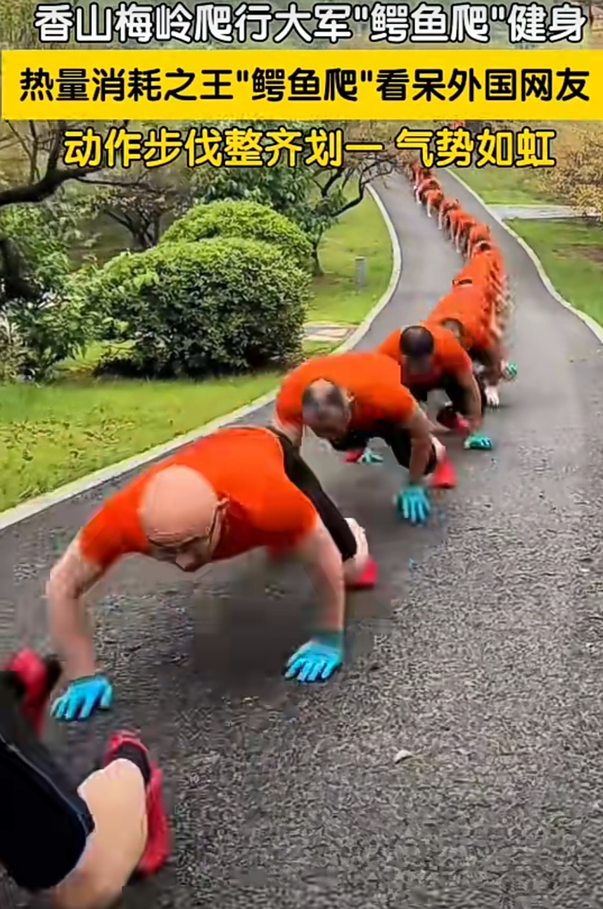 爬行大军动作步伐整齐划一,气势如虹.