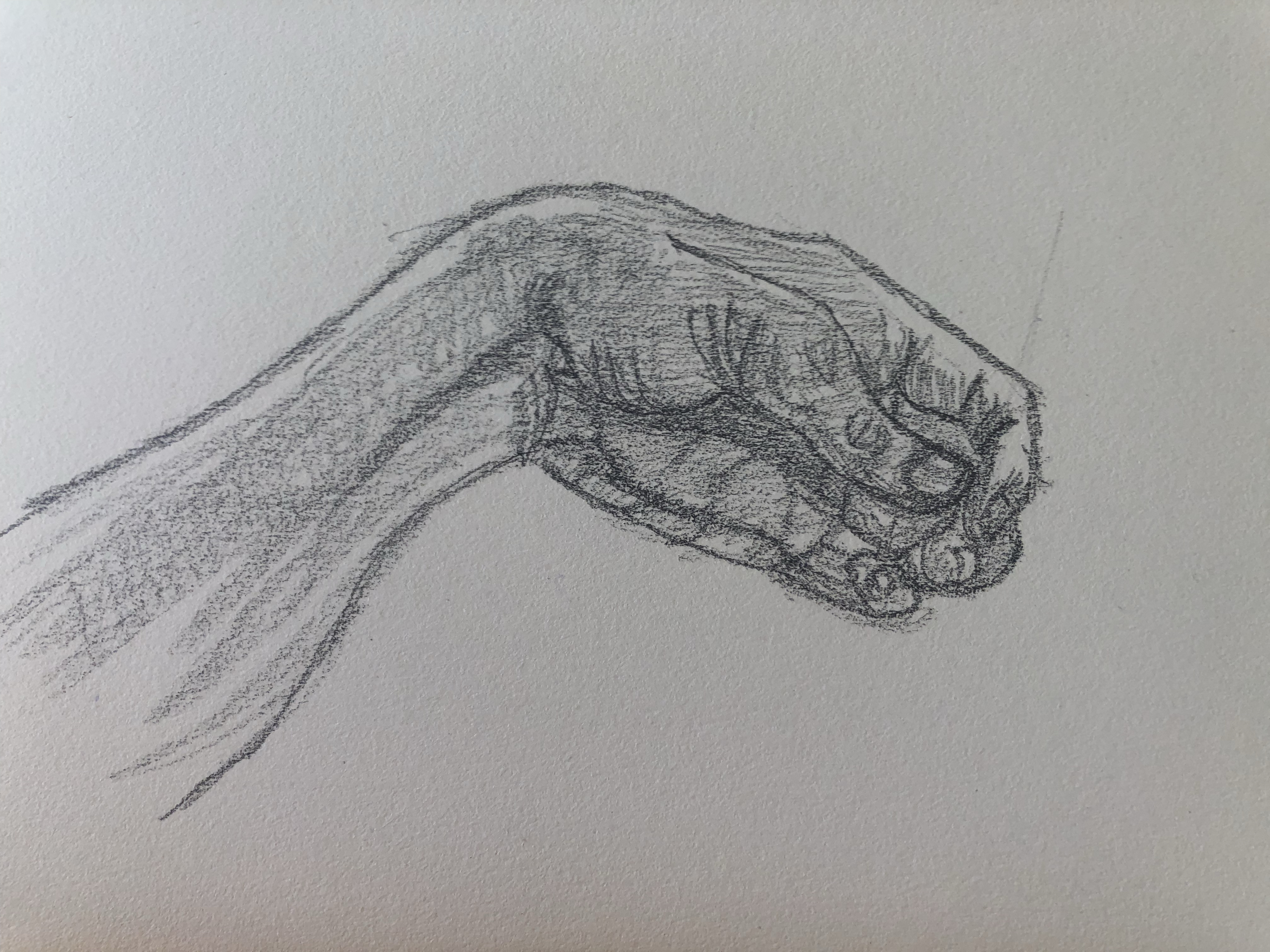 动态连更挑战#  素描练习, 手部姿态合集.